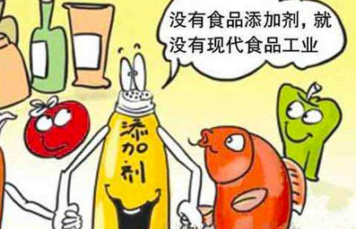食品添加剂 食品添加剂